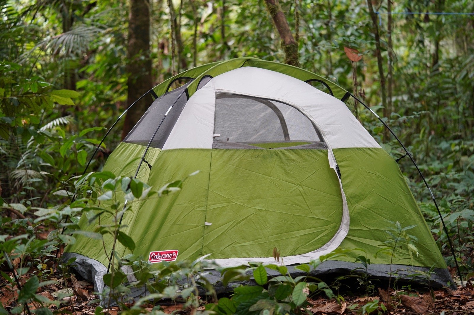 Tent in forest