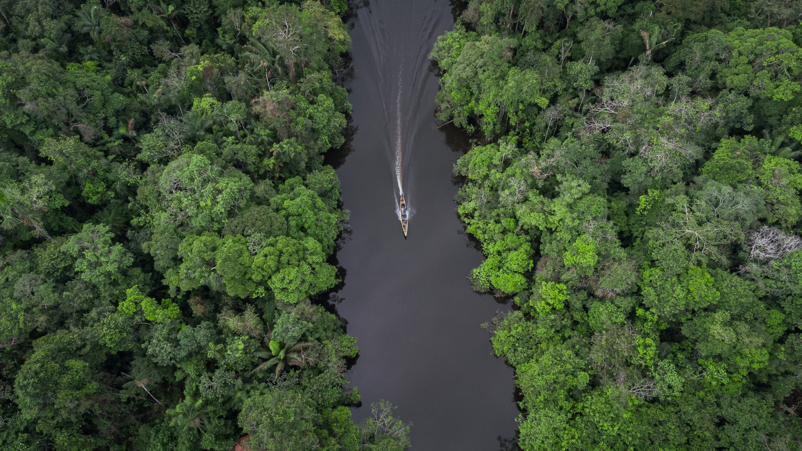 navidad-ano-nuevo-ecuador-amazonia