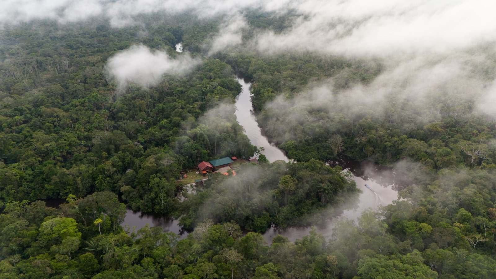 ecuador-jungle